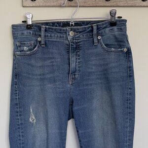 Lucky Brand Hayden Skinny Jeans